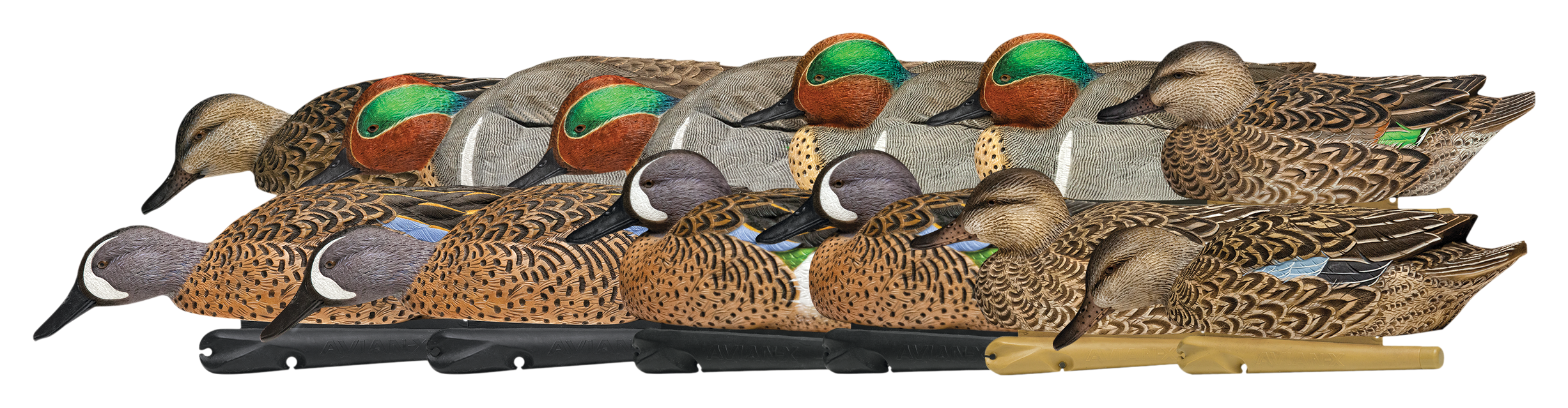 AvianX TopFlight Teal Duck Decoys with Texas Rigs Cabela's
